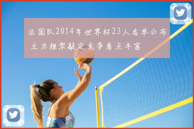 法国队2014年世界杯23人名单公布 主力框架敲定竞争看点丰富