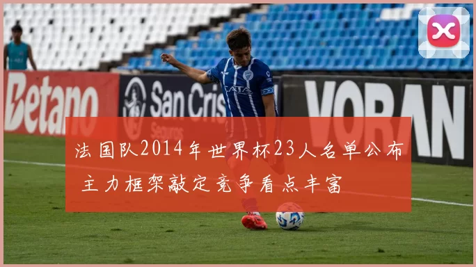 法国队2014年世界杯23人名单公布 主力框架敲定竞争看点丰富