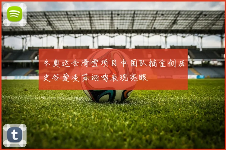 冬奥运会滑雪项目中国队摘金创历史谷爱凌苏翊鸣表现亮眼